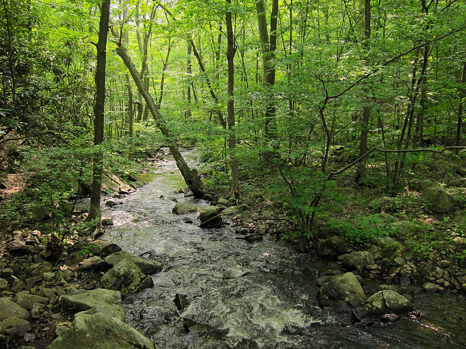 Posts Brook flowing through a wooded area near the Route 23 corridor